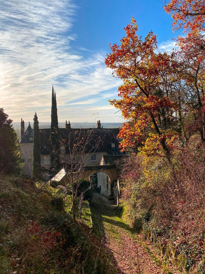 Chateau De Nazelles Amboise Esterno foto