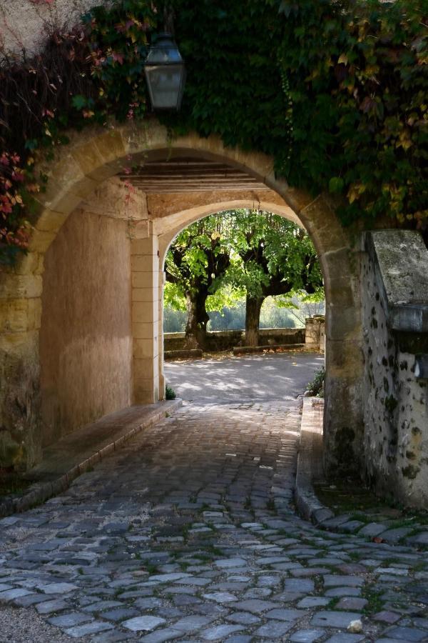 Chateau De Nazelles Amboise Esterno foto