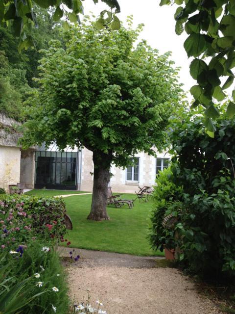 Chateau De Nazelles Amboise Esterno foto