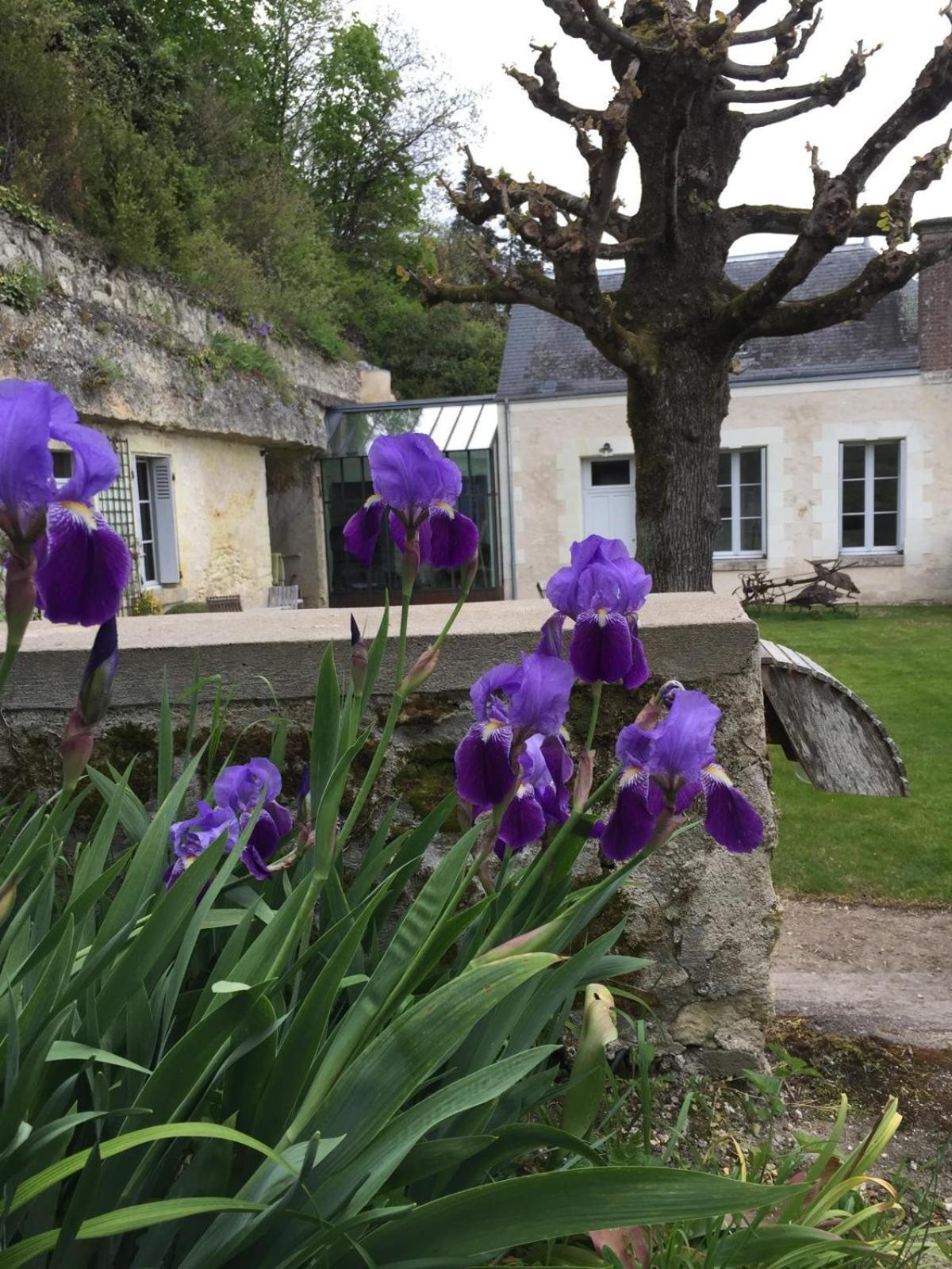 Chateau De Nazelles Amboise Esterno foto